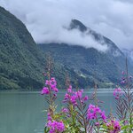 Photo taken by Maria W