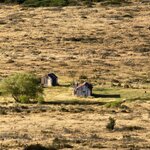 Photo taken by Devon B