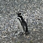 Photo taken by Raghu V