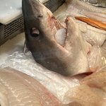 Photo taken by Grace S