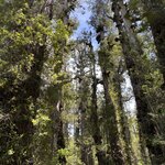 Photo taken by Mike C