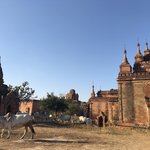 Bagan | Photo taken by Gregory R