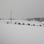 Photo taken by Alex T