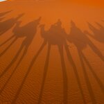 Photo taken by Cheryl L