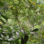 Photo taken by Kathy K