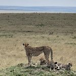 Photo taken by Virginia H