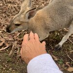 Photo taken by Julie H