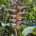 Photo taken by Ora Y