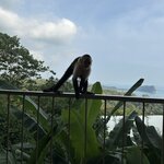 Photo taken by Randy H