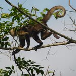 Photo taken by Brett F