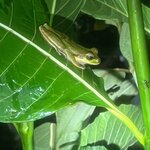 Photo taken by Alexia M