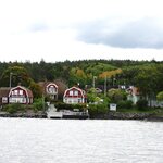 Photo taken by Sapna G