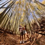 Photo taken by Kaya W