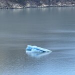 Photo taken by Amber S