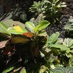 Photo taken by Kate R