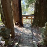 Photo taken by Daniel D