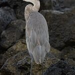 Photo taken by mindy n