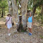 Photo taken by Nancy A