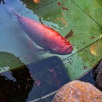 Photo taken by Brian C