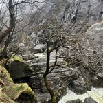 Photo taken by Marcy B