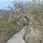 Photo taken by Patricia D