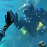 Photo taken by Jessica H