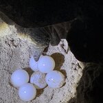 Photo taken by Rob C