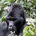 Photo taken by Michael L