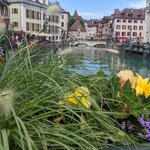 Photo taken by Lyon K