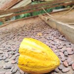 Photo taken by James B