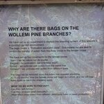 Photo taken by Daniel S