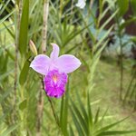 Photo taken by Paul F