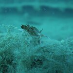 Photo taken by alai a