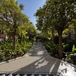 Photo taken by Connelly W