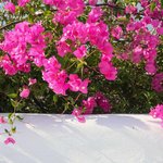 Photo taken by Jonathan F