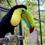 Photo taken by Luke T