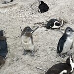 Photo taken by Joanne B