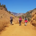 Photo taken by Amy S