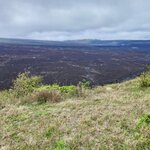 Photo taken by Patricia D