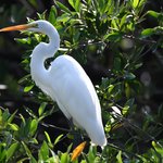 Photo taken by Graeme W