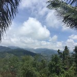 Coffee region | Photo taken by Ella W