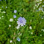 Photo taken by Kim R