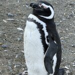 Photo taken by Marcia R