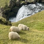 Photo taken by Janice R