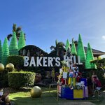 Photo taken by Edit M