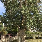 Photo taken by Patricia L