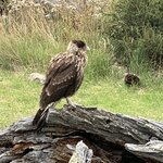 Photo taken by SANDRA V