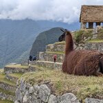 Photo taken by Susan B