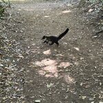 Photo taken by Peter B