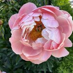 Photo taken by Judah J